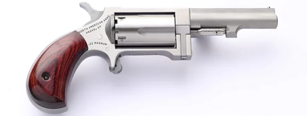 NORTH AMERICAN ARMS SIDEWINDER 22M/22LR 2.5" SS